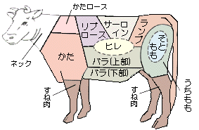 牛肉部位図のイラスト